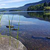 fresh water